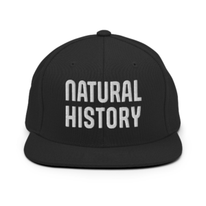 NH Stacked - Snapback Hat